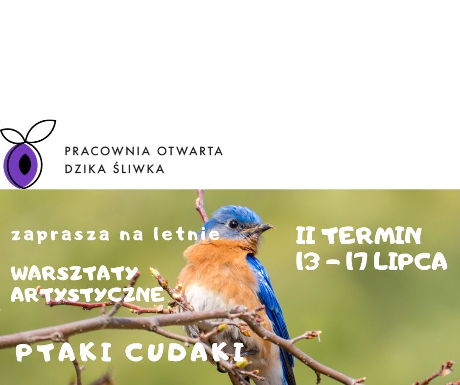 Warsztaty letnie "Ptaki cudaki"