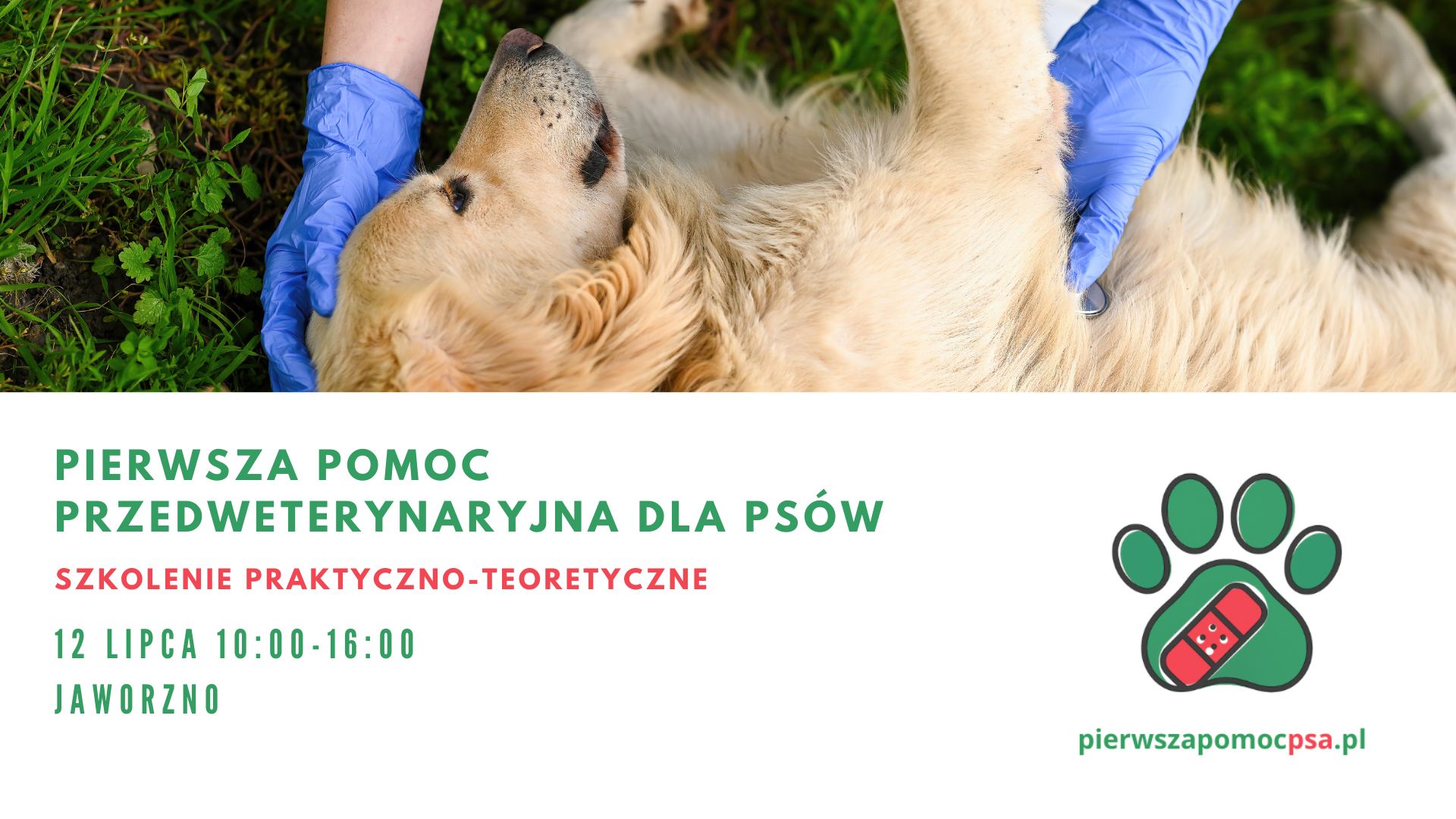 Szkolenie z pierwszej pomocy dla psów Jaworzno